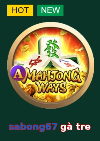 sabong67 gà tre