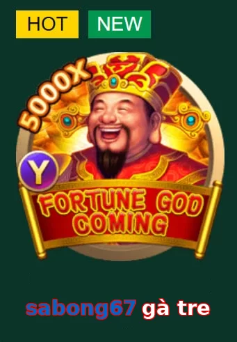 sabong67 gà tre